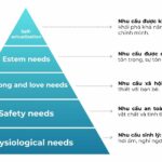 Hướng dẫn chi tiết cách sử dụng policy hierarchy trong quản lý truy cập và bảo mật cách sử dụng policy hierarchy