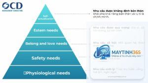 cách sử dụng policy hierarchy