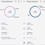 cách sử dụng privacy dashboard