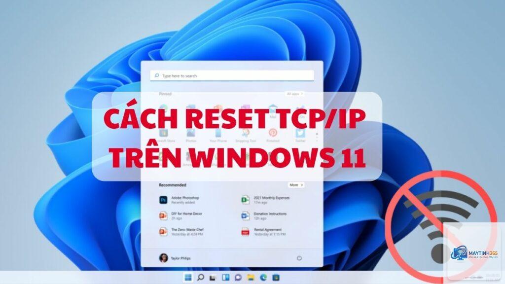 cách sử dụng tcp ip windows 11