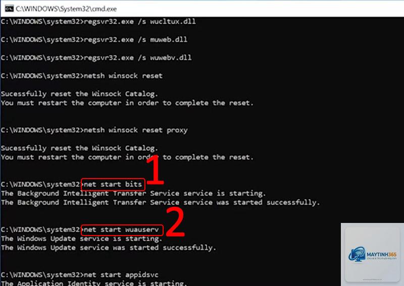 cách sửa lỗi update bằng cmd - Hình 2