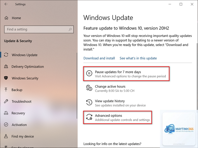 cách tạm dừng windows update - Hình 2