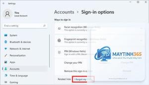 cách tạo mã pin windows 11