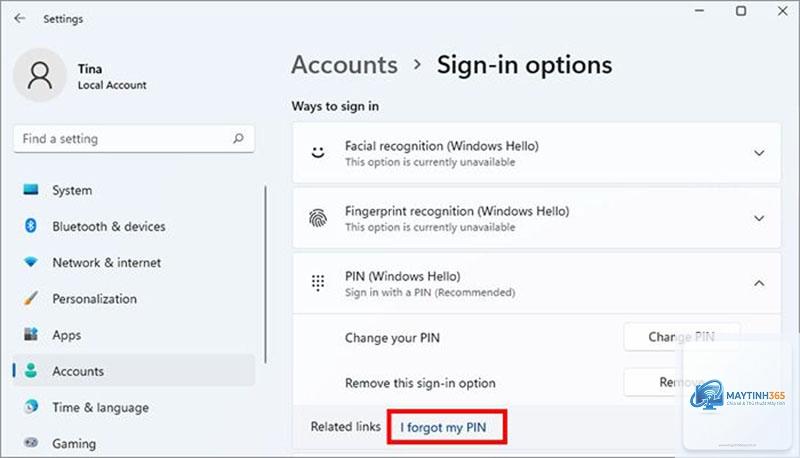 cách tạo mã pin windows 11