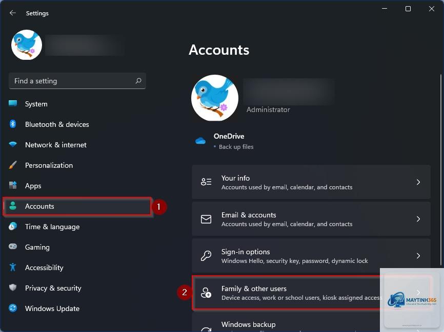 cách tạo tài khoản microsoft windows 11
