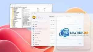cách thay đổi mouse settings registry