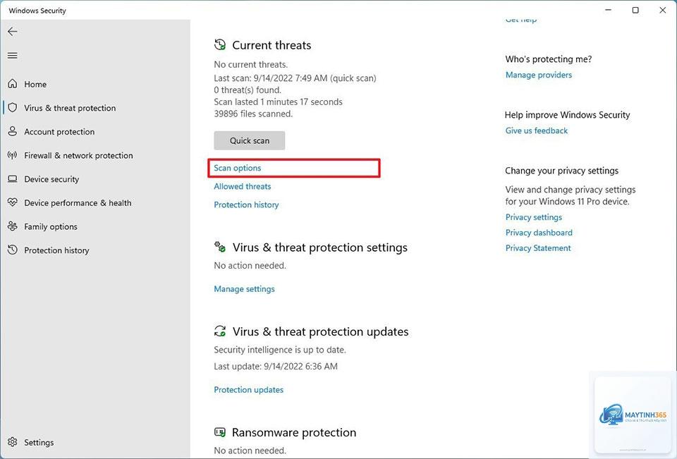cách thêm máy quét windows 11 - Hình 3