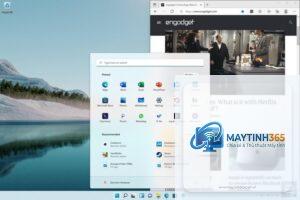 cách theo dõi lưu trữ windows 11