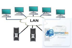 cách thiết lập máy in mạng