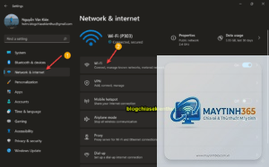 cách thiết lập network settings windows 11