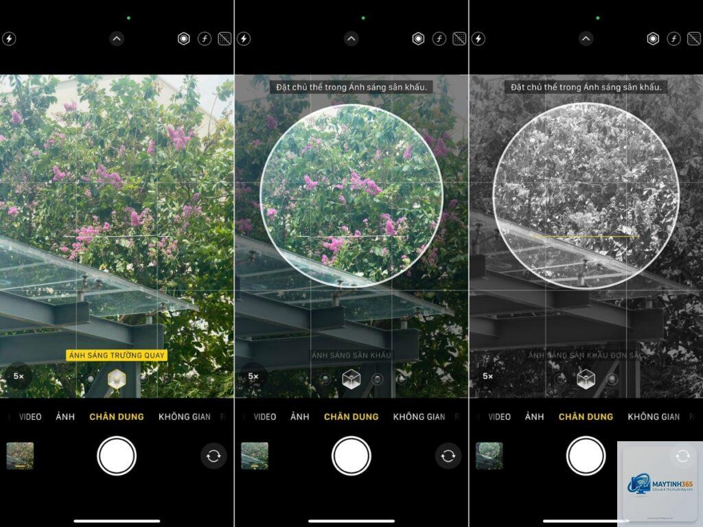 cách thiết lập portrait mode