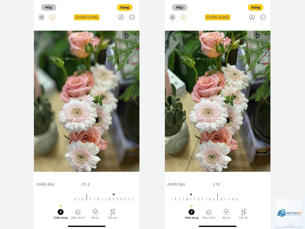 cách thiết lập portrait mode - Hình 5