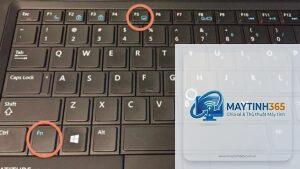 cách thiết lập vuốt touchpad
