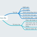 Cách tổ chức file và thư mục hiệu quả: Bí quyết quản lý dữ liệu chuyên nghiệp cho dân văn phòng và lập trình viên cách tổ chức file và thư mục