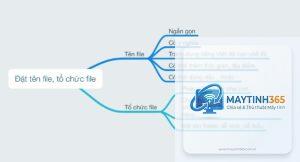 cách tổ chức file và thư mục