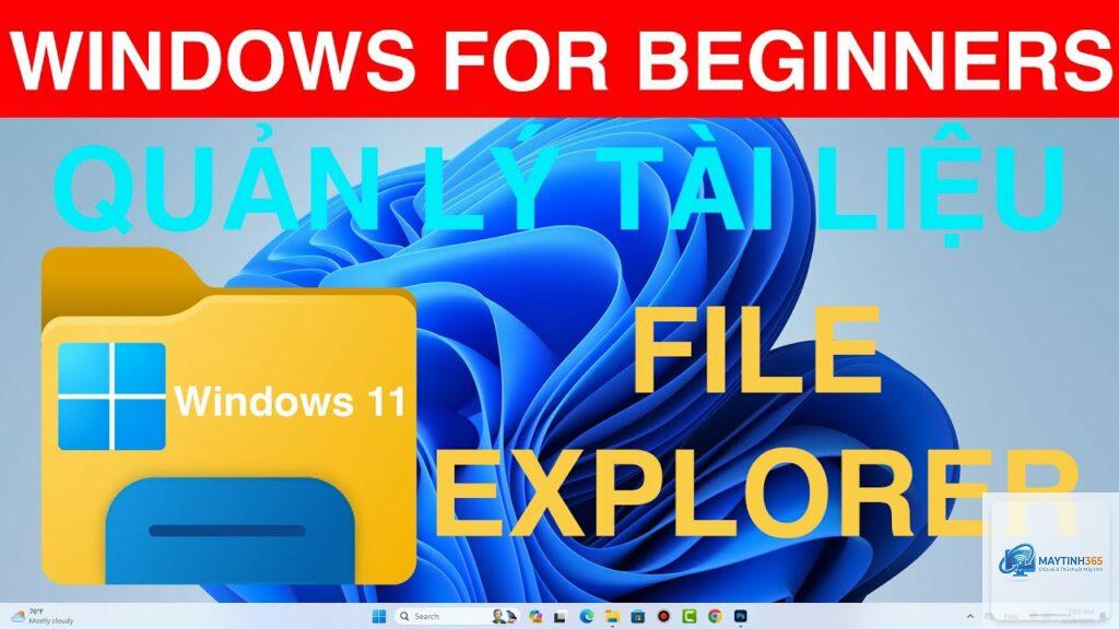 cách tổ chức tài liệu trên windows 11
