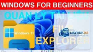 cách tổ chức tài liệu trên windows 11