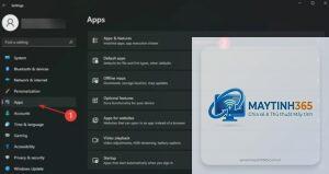 cách tối ưu apps settings windows 11