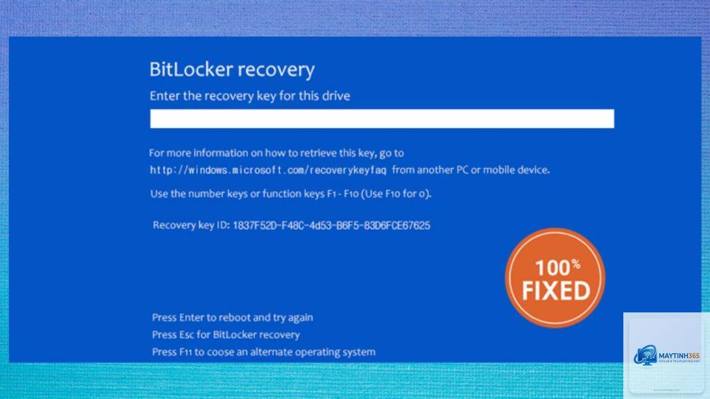 cách tối ưu bitlocker