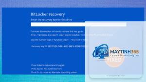 cách tối ưu bitlocker