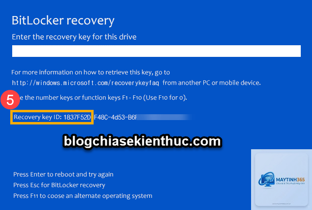 cách tối ưu bitlocker - Hình 5