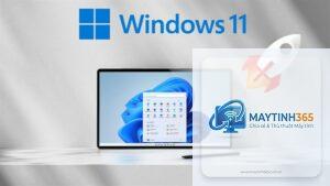 cách tối ưu hiệu năng gaming windows 11