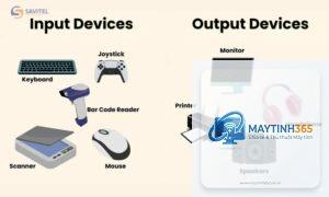 cách tối ưu input devices