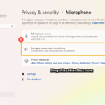 cách tối ưu microphone permissions