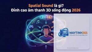 cách tối ưu spatial sound