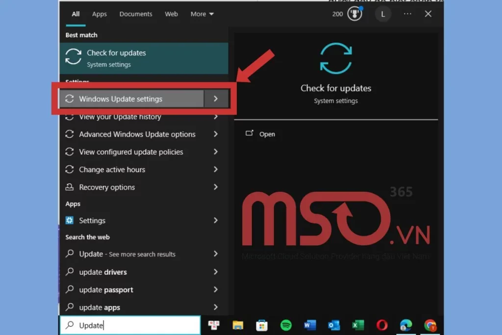 cách tùy biến update settings