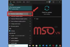 cách tùy biến update settings