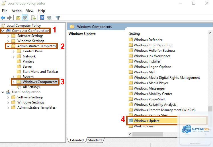 cách tùy chỉnh update policy