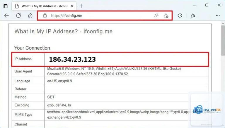 cách xem địa chỉ ip windows 11 - Hình 4