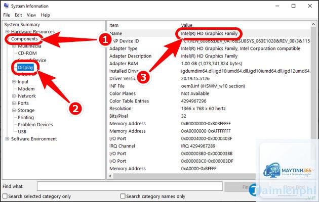 cách xem display adapters windows 11 - Hình 2