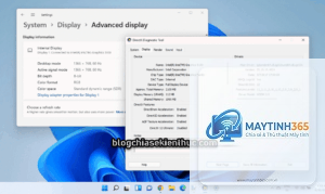 cách xem display adapters windows 11