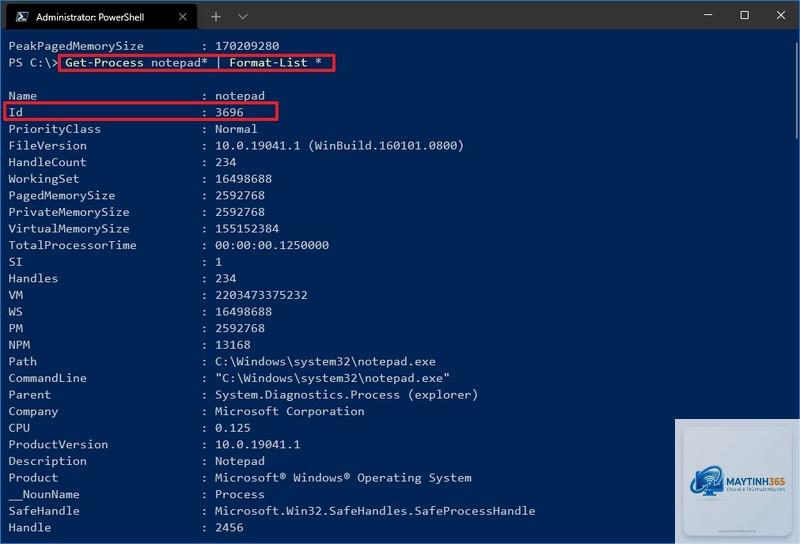 cách xem process id windows 11 - Hình 4