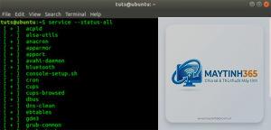 cách xem service status