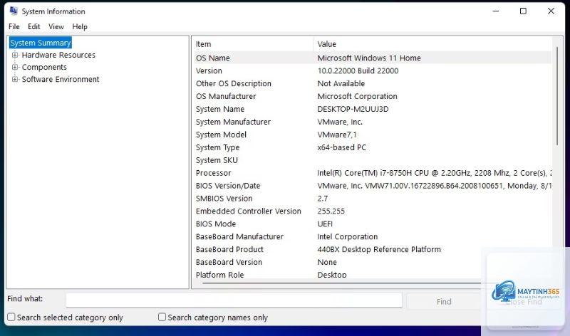 cách xem thông tin hệ thống windows 11 - Hình 5