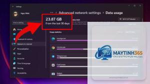cách xem thông tin mạng windows 11