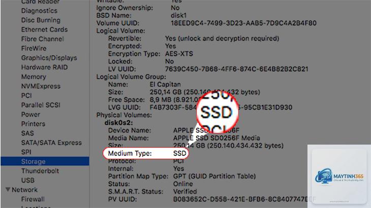 cách xem thông tin ssd