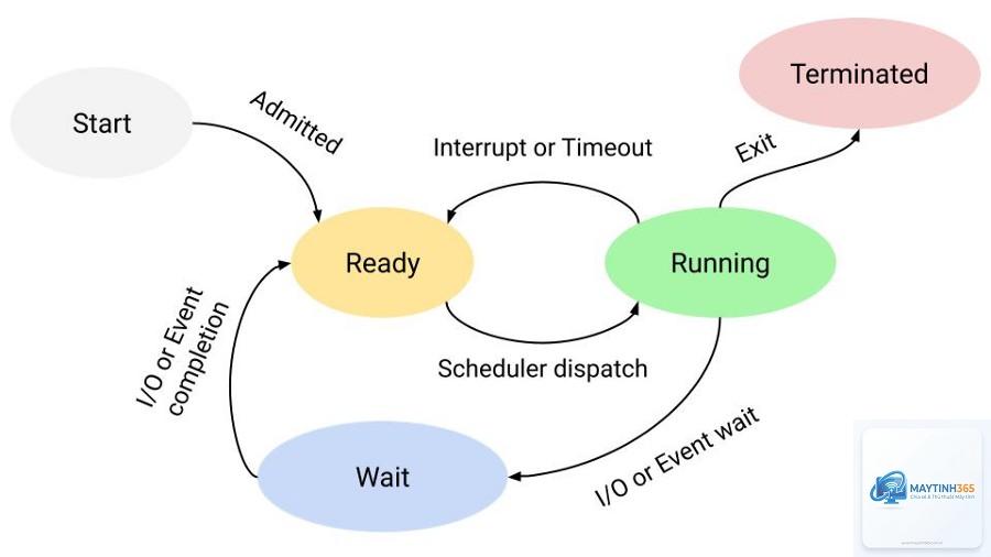 cách xem trạng thái process