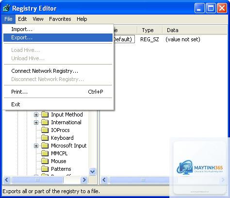 cách xuất file reg từ registry - Hình 3