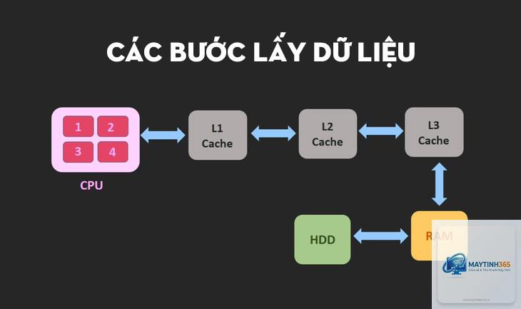 cache cpu là gì - Hình 2