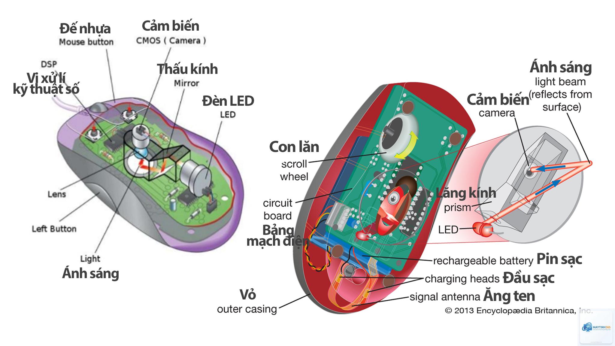 cảm biến chuột là gì - Hình 4