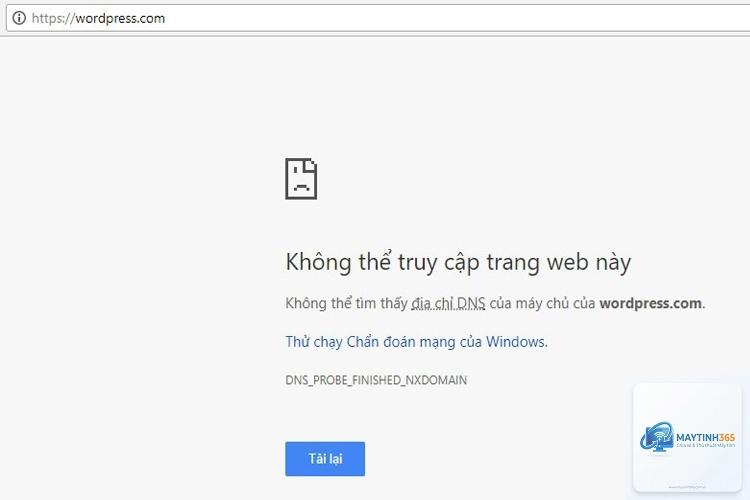 chrome báo không có internet - Hình 5