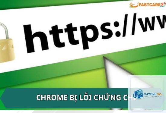 chrome bị lỗi certificate cách sửa - Hình 4