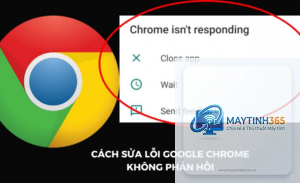 chrome bị lỗi không phản hồi