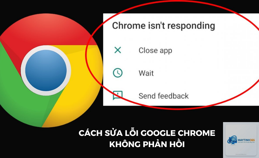 chrome bị lỗi không phản hồi