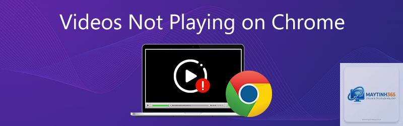 chrome không phát được video - Hình 3