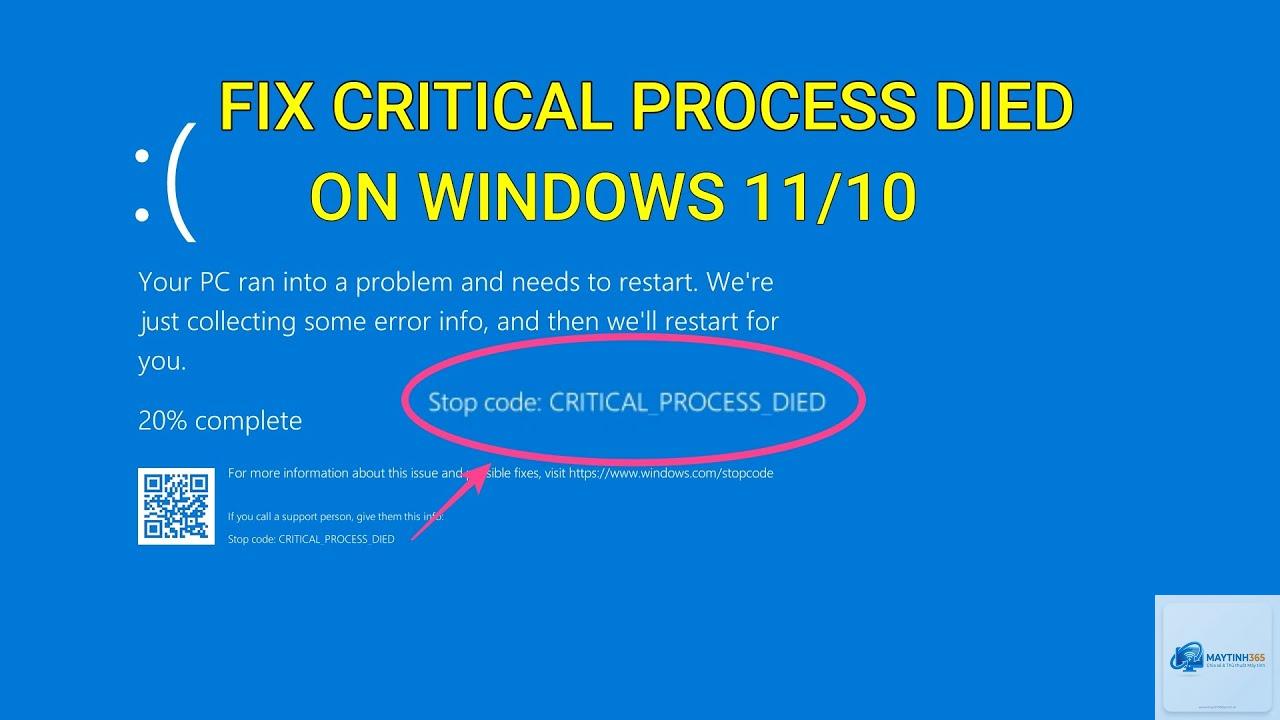 critical process died windows 11 - Hình 2